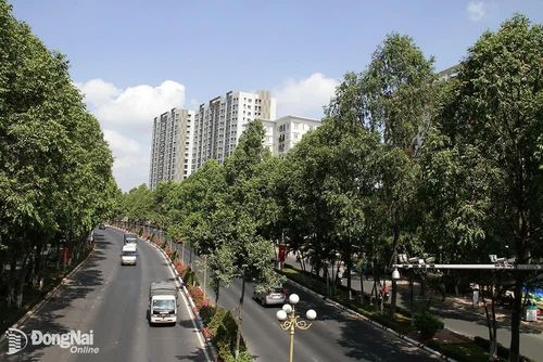 Đường Nguyễn Ái Quốc, thành phố Đồng Nai. Ảnh: Huy Nguyễn