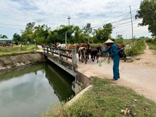  Thành cầu ngắn tiềm ẩn nguy cơ tai nạn cho người đi đường. Ảnh: Nguyễn Chơn 