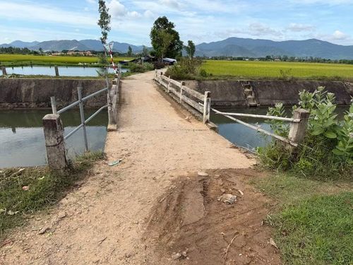  Người dân dùng thanh tre chằng buộc tạm bợ tại các vị trí không có thành cầu. Ảnh: Nguyễn Chơn 