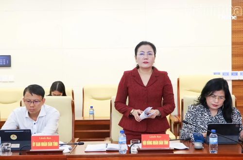 Đồng chí Phạm Thị Xuân Trang - Phó Chủ tịch HĐND tỉnh phát biểu tại hội nghị.