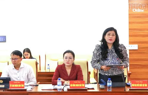 Đồng chí Đàng Thị Mỹ Hương - Phó Trưởng đoàn chuyên trách Đoàn Đại biểu Quốc hội tỉnh phát biểu tại hội nghị.