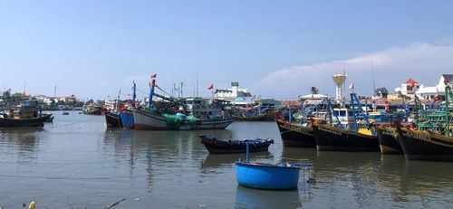 Toàn tỉnh tiếp tục thu hút các dự án đầu tư nuôi trồng thủy sản theo quy hoạch gắn với thu mua, chế biến và thị trường tiêu thụ