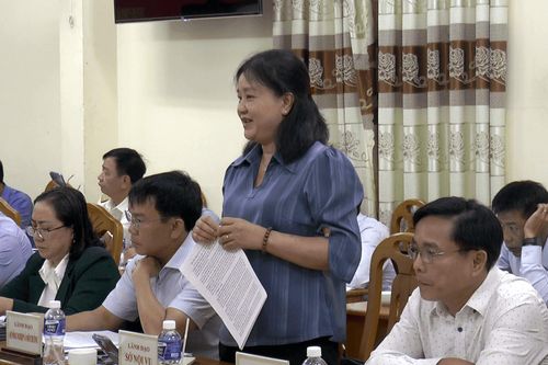 Bà Lê Thị Thêu, Phó Giám đốc Sở Nội vụ phát biểu tại buổi làm việc