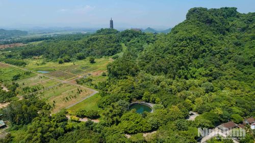Giếng Ngọc nằm trong khuôn viên chùa Bái Đính cổ.