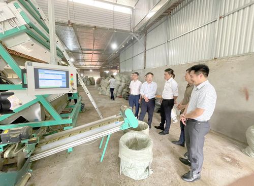 Công ty TNHH Chè Phú Mỹ, phường Mỹ Lâm đầu tư Máy tách màu trà trị giá hơn 2 tỷ đồng nâng cao chất lượng sản phẩm xuất khẩu.