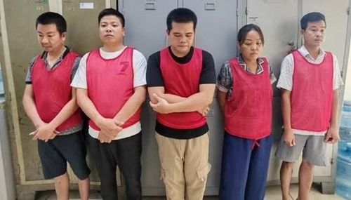Công an TP Hà Nội khởi tố 5 đối tượng liên quan vụ đổ trái phép hơn 33.500 tấn chất thải xây dựng tại xã Đại Thanh. Ảnh: Công an Hà Nội