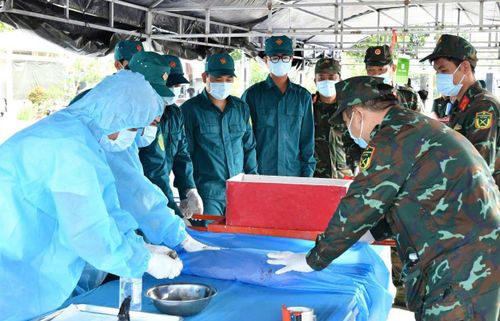 Người dân có thông tin về đôi dép, xin liên hệ Ban Chỉ đạo 515 tỉnh An Giang qua số điện thoại: 0976 222 525.
