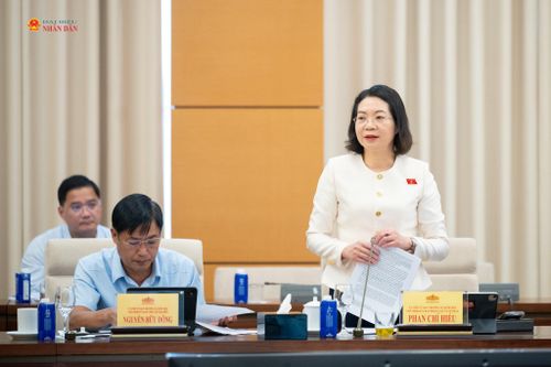 Phó Chủ nhiệm Ủy ban Pháp luật và Tư pháp Mai Thị Phương Hoa phát biểu tại phiên họp