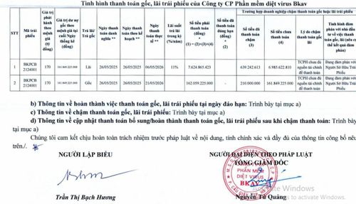 Bkav Pro lãi giảm hơn nửa, còn gần 169 tỷ đồng nợ trái phiếu.