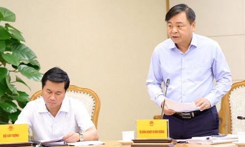 Thứ trưởng Bộ Nông nghiệp và Môi trường Nguyễn Hoàng Hiệp phát biểu tại cuộc họp. (Ảnh: chinhphu.vn)