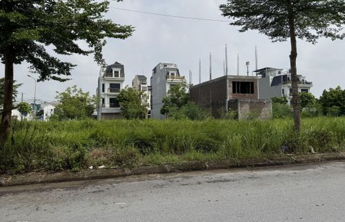 Nhiều diện tích tại Dự án khu nhà ở Thuần Nghệ (phường Sơn Tây) chưa được xây dựng. Ảnh Thiện Mỹ