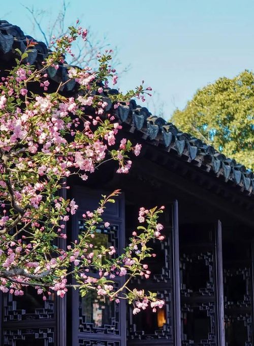 Với người sinh giờ Hợi Âm lịch, thành công có thể đến muộn nhưng thường bền vững nếu kiên trì đúng hướng. Ảnh minh họa