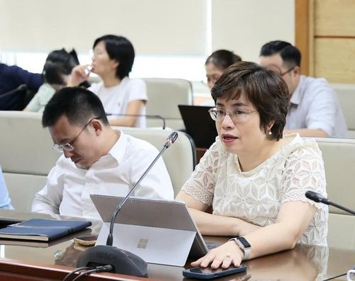 Các đại biểu là thành viên Tổ soạn thảo phát biểu.  Ảnh: Trần Minh