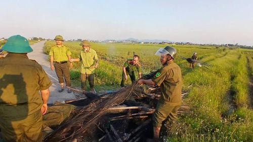 Lực lượng chức năng tiến hành tháo dỡ, thu gom toàn bộ số lưới, cọc, loa và còi nói trên để tiêu hủy. Ảnh: C.A.