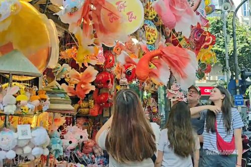 Sắc màu Trung thu hút khách Tây trên phố Hàng Mã. Ảnh: T.Anh