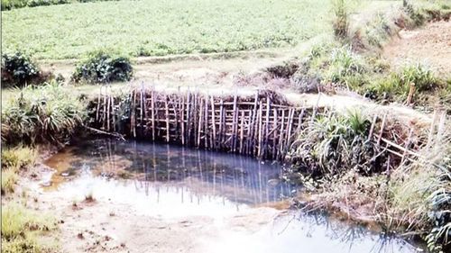Hình ảnh đập nước và suối Lò Giấy do cựu binh Mỹ David Levesque cung cấp.
