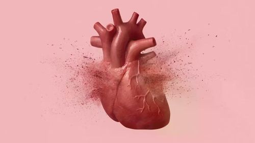 Rất khó phân biệt hội chứng cấp tính "con tim tan vỡ" với bệnh tim thông thường.