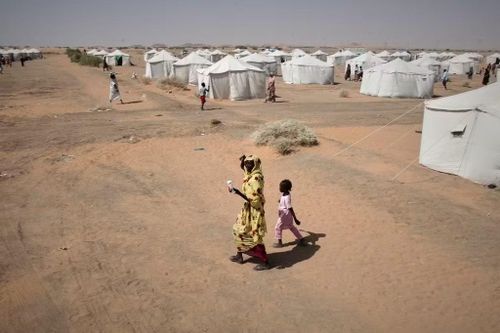 Một khu lều trại El-Afadh cho người dân di tản ở Al Dabbah, phía Bắc Sudan, ngày 13/11/2025. Ảnh tư liệu: AP/Marwan Ali.