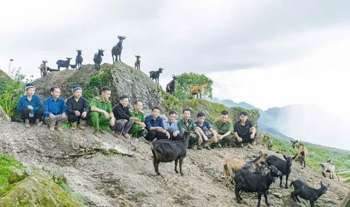 Những đàn dê đổi thay cuộc sống của người dân.