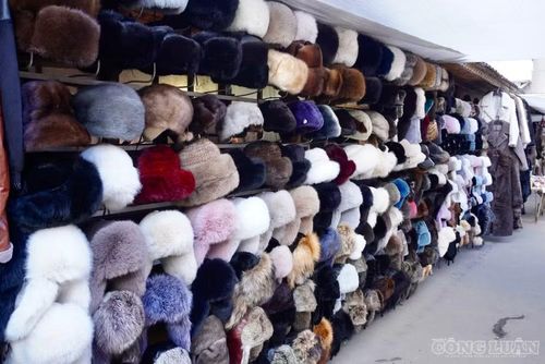 Mũ, áo khoác và nhiều loại trang phục làm từ lông thú là những mặt hàng quen thuộc tại các khu chợ ở Nga, đặc biệt phù hợp với điều kiện thời tiết lạnh giá vào mùa đông