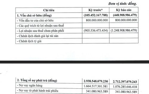 Cơ cấu tài chính của Đua Fat trong 6 tháng đầu năm. Ảnh: Chụp từ BCTC
