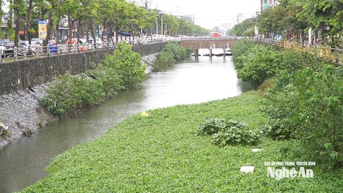 Kênh Bắc hiện tại là một rốn ô nhiễm. Ảnh: Ngọc Dũng