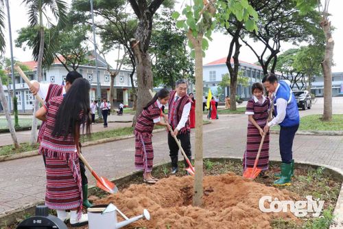 Ông Nguyễn Phước Lộc tham gia trồng cây xanh.