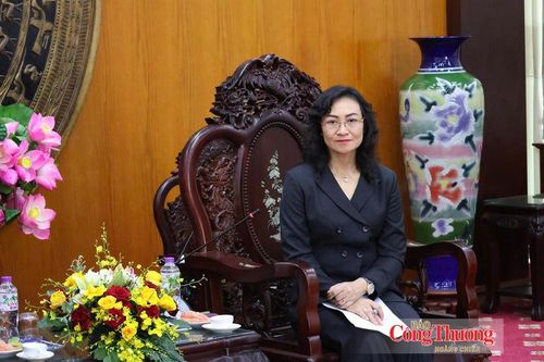 Thứ trưởng Phan Thị Thắng tại buổi làm việc.