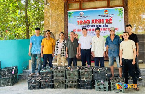 Hội viên nông dân nhận hỗ trợ 1.200 con gà giống để phát triển mô hình nuôi gà trên đệm lót sinh học. Ảnh: PHẠM BÌNH
