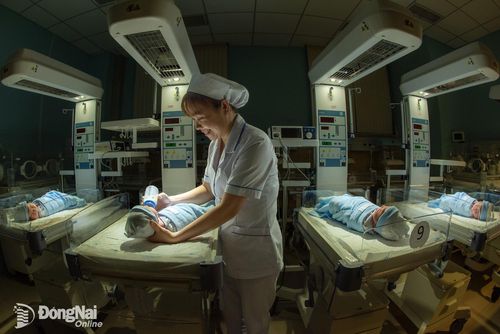 Các tác phẩm: Thi công đêm, Cạnh tranh, Chăm sóc những thiên thần nhỏ của tác giả Lê Đức Anh. Ảnh: NVCC