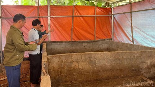 Cán bộ chuyên môn xã Khánh Hòa kiểm tra tình hình thực tế tại các hộ chăn nuôi.