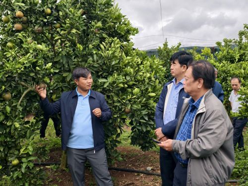 Du lịch nông nghiệp là một trong những lợi thế của tỉnh