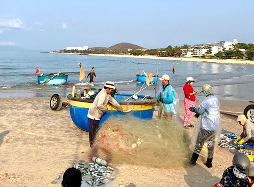 Lưới kéo lên, cá được gỡ ngay, rồi nhanh chóng đến tay người mua
