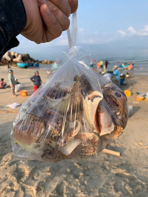 Những sản vật tươi vừa đánh bắt