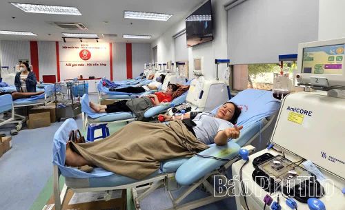 Chị Trịnh Thị Hồng Thu - tổ dân phố Mỏ, xã Lương Sơn tích cực tham gia hiến máu tình nguyện.