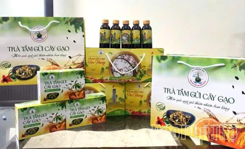 Trà tầm gửi cây gạo, món quà thiên nhiên ban tặng.