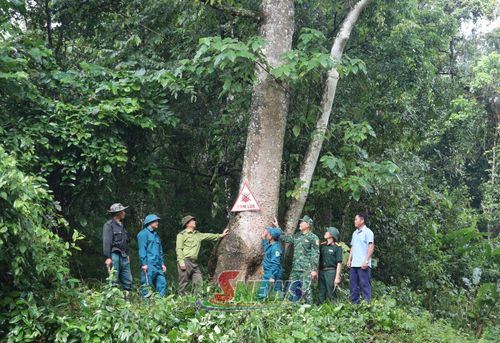 Các lực lượng chức năng tham gia bảo vệ rừng ở xã Mường Lạn.