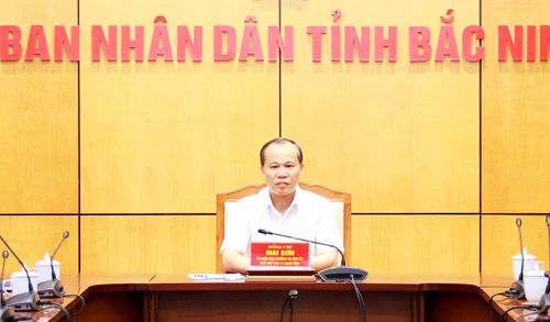 Đồng chí Mai Sơn, Phó Chủ tịch Thường trực UBND tỉnh Bắc Ninh phát biểu kết luận buổi làm việc.