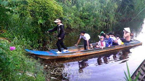 Do đặc thù địa bàn, nhiều học sinh vùng lâm phần U Minh Hạ đến trường bằng phương tiện thuỷ, có em phải vượt quãng đường từ 5-7 km để đến lớp.
