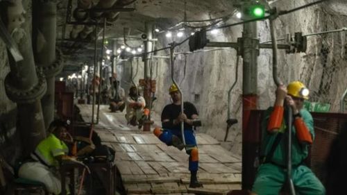 Hàng năm, mỏ Mponeng sản xuất hơn 8 tấn, tương đương khoảng 250.000 đến 275.000 ounce vàng. Các công nhân khai thác làm việc theo nhiều ca để duy trì sản lượng do mạng lưới đường hầm ngầm rất rộng lớn. (Ảnh: News18)