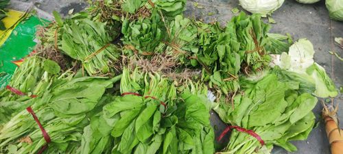 Do nguồn cung khan hiếm nên nhiều loại rau còn nhỏ vẫn được người dân mang đi bán. Ảnh: T.B