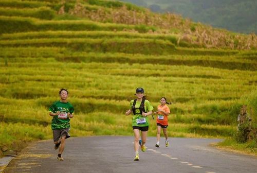 Giải là điểm hẹn của cộng đồng những người yêu thích chạy bộ và du khách khi mùa vàng về trên vùng cao Y Tý