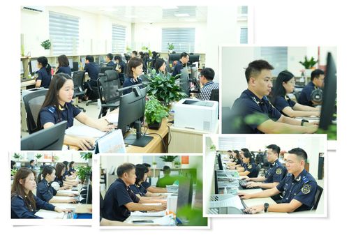 Đội thông quan - Chi cục Hải quan khu vực III.