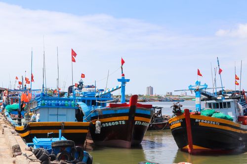 Tàu cá ngư dân xã Long Hải (TPHCM) cập cảng cá Hưng Thái. Ảnh: THÀNH HUY