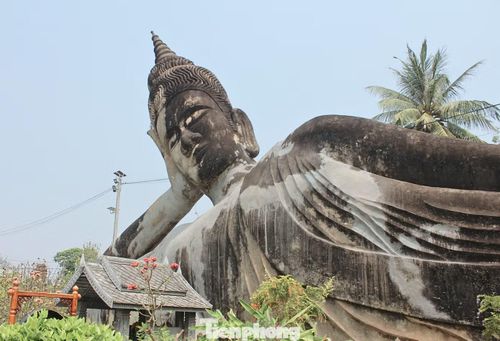 Với kích thước vượt trội, tượng Phật nằm gây ấn tượng ngay từ xa và là điểm dừng chân được nhiều du khách lựa chọn khi khám phá khu vườn.