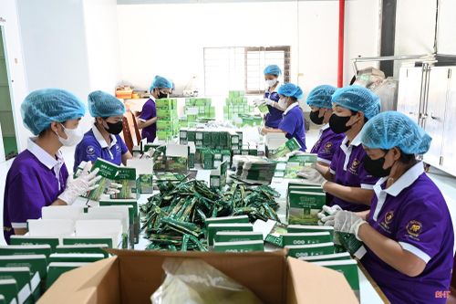 Công ty TNHH KH&CN An Phát sản xuất thành công sản phẩm trà hòa tan và trà túi lọc.