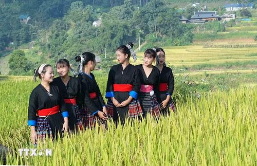 Vẻ đẹp của thiếu nữ Mông tại Ngày hội “Mùa vàng Tả Lèng - Hương lúa giữa non cao”. (Ảnh: Nguyễn Oanh/TTXVN).