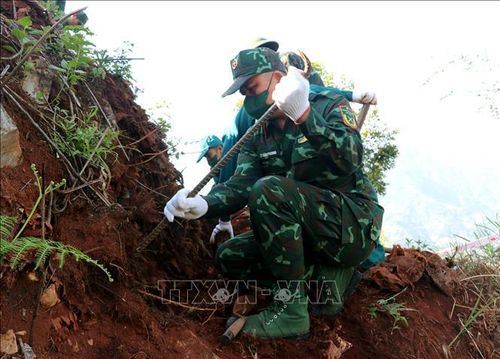 Cán bộ, chiến sĩ Đội Tìm kiếm, quy tập hài cốt liệt sĩ miệt mài đào tìm hài cốt liệt sĩ trên điểm cao 685, xã Thanh Thủy. Ảnh: Đức Thọ/TTXVN