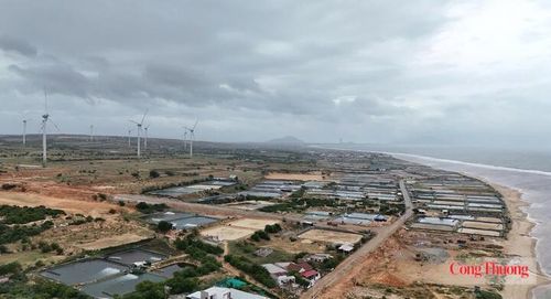 Địa điểm xây dựng Nhà máy điện hạt nhân Ninh Thuận 1 tại thôn Vĩnh Trường, xã Phước Dinh, tỉnh Khánh Hòa. Ảnh: Lê Sơn