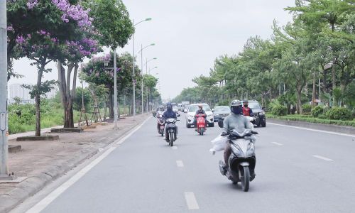 Ảnh minh họa.